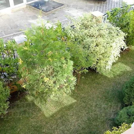 Melia 8 Grand Ravda